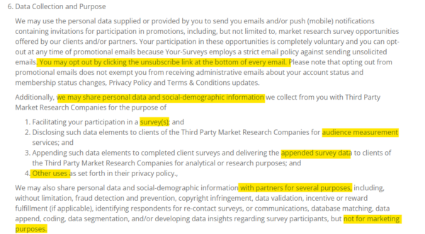 yoursurveys and cint privacy policy screenshot