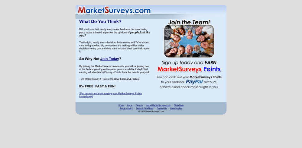 Market Surveys