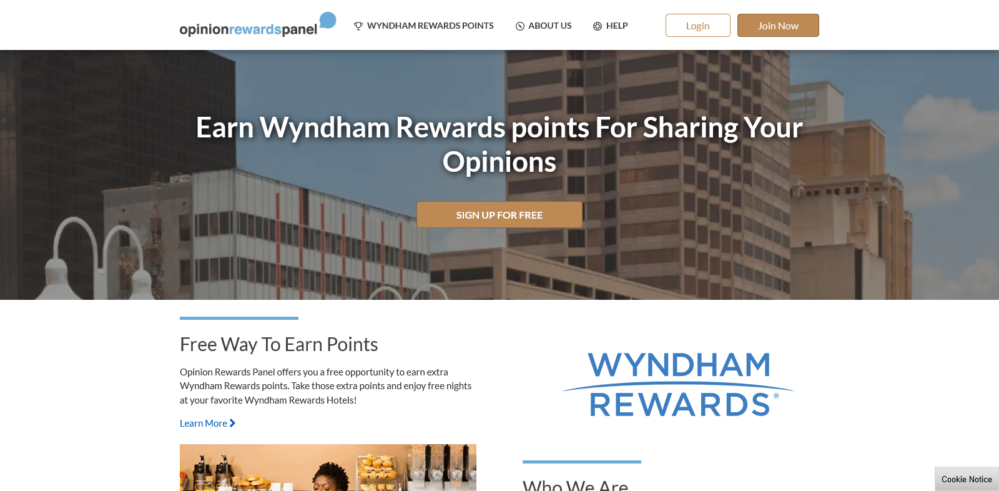 Opinion Rewards Panel – Free Wyndham Points