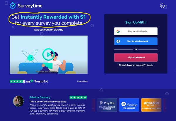 surveytime review